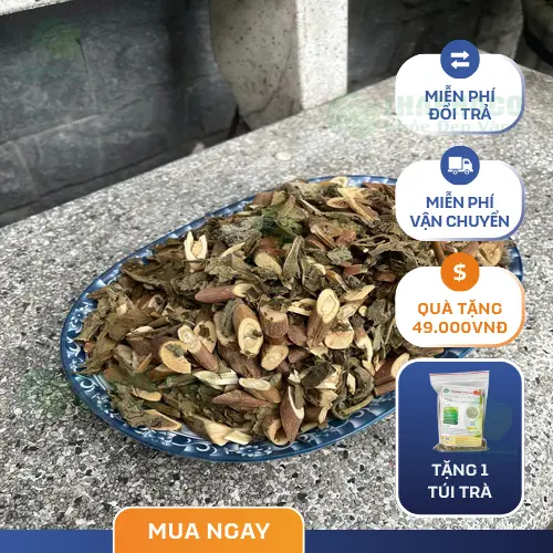 Cam kết chất lượng bạch đồng nữ khô từ THAPHACO