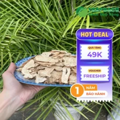 Địa chỉ Cung Cấp Sỉ Bạch Truật Khô Giá Tốt – THAPHACO