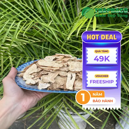 Hình ảnh tổng quan bạch truật khô THAPHACO chất lượng cao