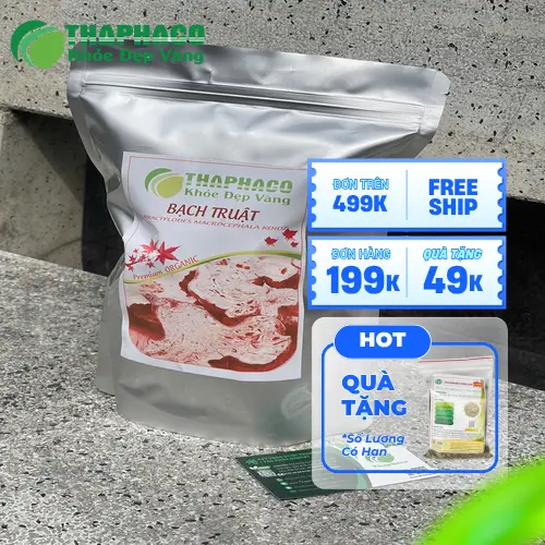 Bạch truật giúp hỗ trợ tiêu hóa và hấp thu dưỡng chất