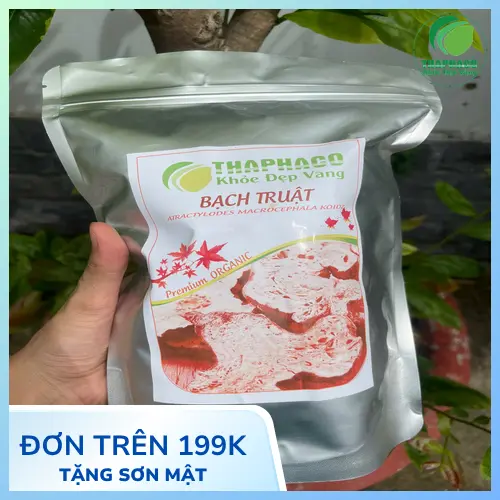 Bạch truật sấy khô chất lượng từ THAPHACO