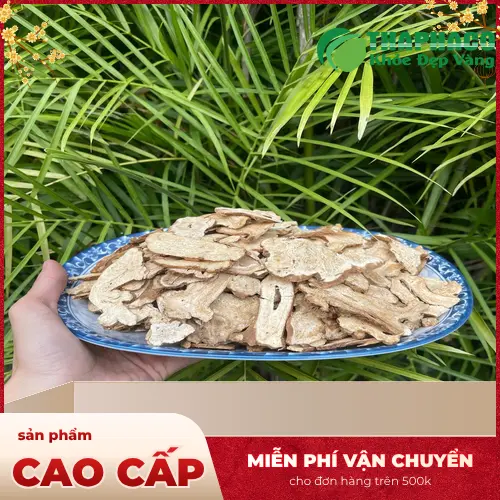 Hình ảnh củ bạch truật tươi nguyên vẹn, minh họa nguồn nguyên liệu chất lượng cao của THAPHACO.
