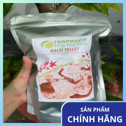 Bạch Truật khô thái lát sẵn sàng cho sử dụng