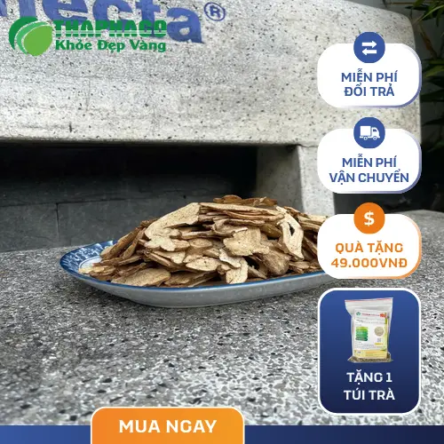 Bạch truật sấy khô THAPHACO cam kết chất lượng và dịch vụ tốt nhất