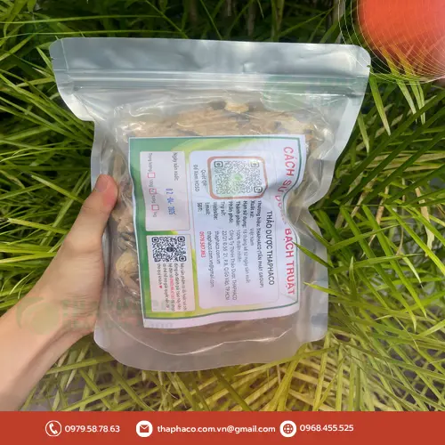 Bảo quản bạch truật sấy khô đúng cách