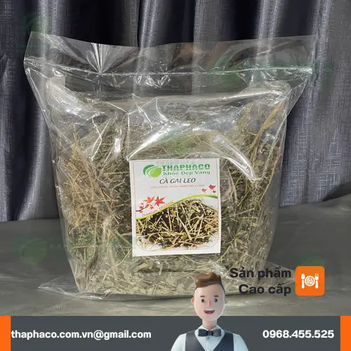 Cà Gai Leo Sấy Khô THAPHACO Chất Lượng Cao