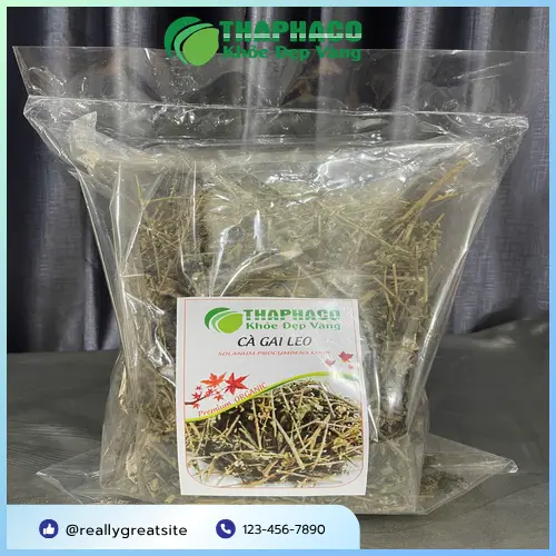 Công dụng của Cà Gai Leo Sấy Khô với gan