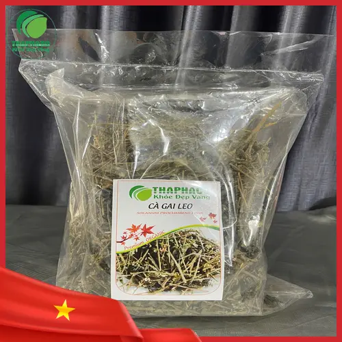 Ly trà cà gai leo đã pha và sấy khô