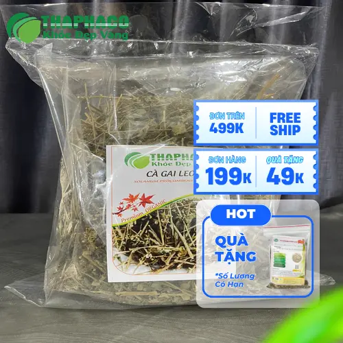 Quy trình phơi sấy cà gai leo đảm bảo chất lượng