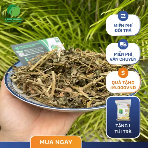 Ưu đãi cà gai leo sấy khô 1kg giá 180.000đ và freeship khi mua 3kg