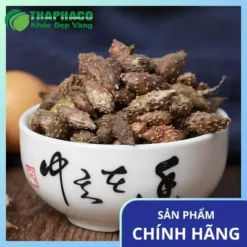 Ké Đầu Ngựa Sấy Khô Sỉ TP.HCM: Chất Lượng Vượt Trội, Giá Tốt!