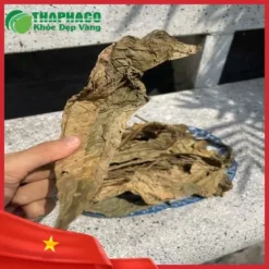 Lá Khôi Tía Sấy Khô TP.HCM: Phân Tích Chuyên Sâu Từ Dược Sĩ