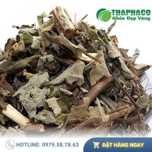 Cây an xoa khô chất lượng cao từ THAPHACO