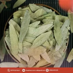 Địa chỉ bán sỉ phan tả diệp khô tại TP.HCM | THAPHACO