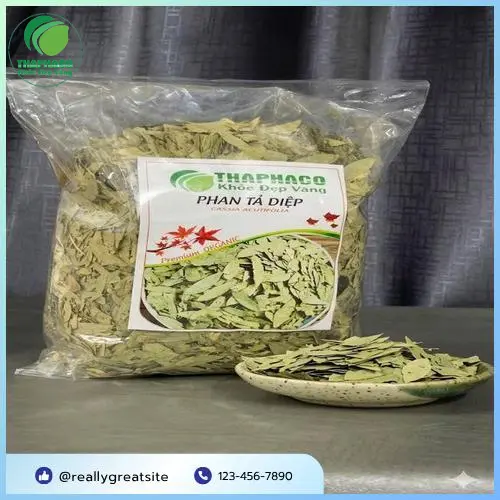 Phan tả diệp giúp thanh lọc cơ thể