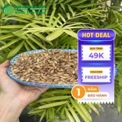 Ké Đầu Ngựa Sấy Khô TP.HCM: Địa Chỉ Uy Tín - Giá Tốt Nhất