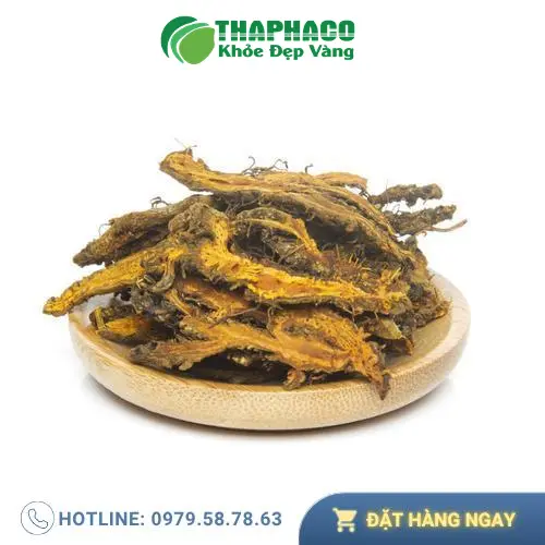 Hoàng liên sấy khô nguyên chất từ THAPHACO