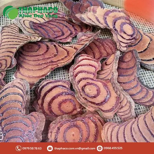 Kê Huyết Đằng khô nguyên chất từ THAPHACO