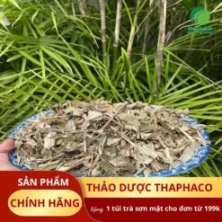 Mua Khổ Sâm ở Đâu Vừa Rẻ Vừa Có Quà? THAPHACO