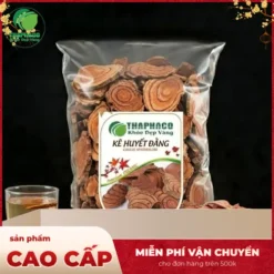 Địa chỉ bán sỉ Kê Huyết Đằng tại TP.HCM: THAPHACO Uy tín, Chất lượng