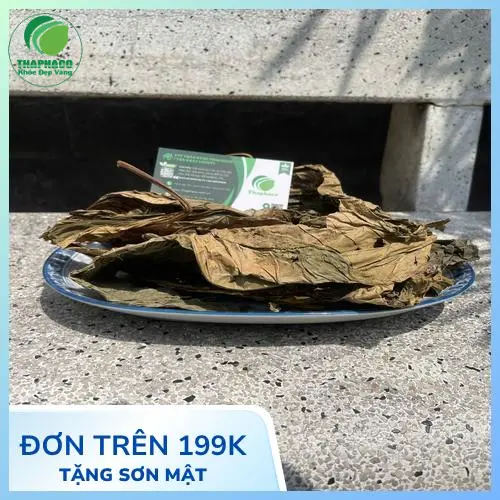 Công Dụng Lá Khôi Tía Sấy Khô