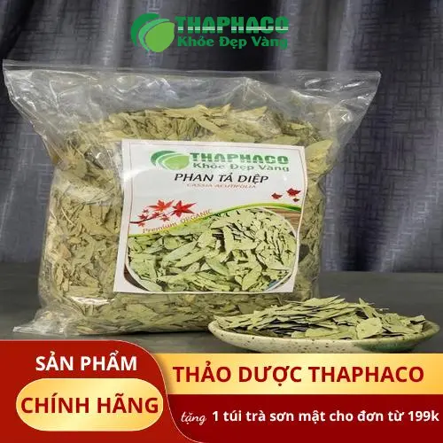 Quy trình sấy khô phan tả diệp tại THAPHACO