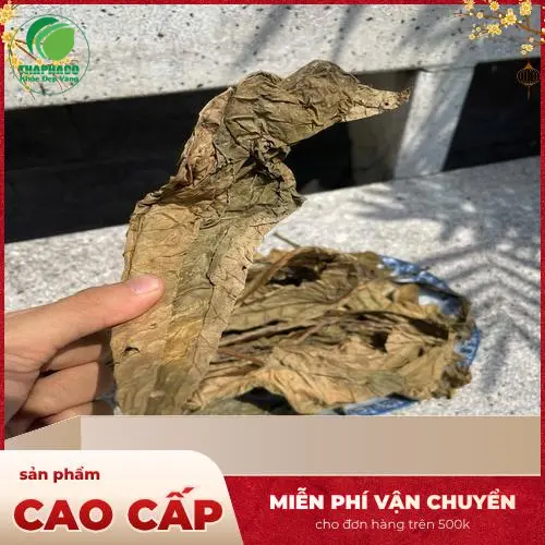 Pha trà lá khôi tía dễ dàng tại nhà