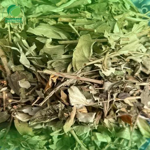 Khổ sâm khô đã được sơ chế sẵn sàng để sử dụng