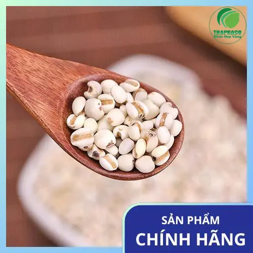 Quy trình sấy khô ý dĩ chuyên nghiệp