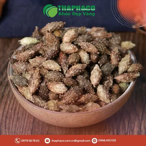 Hướng dẫn bảo quản ké đầu ngựa sấy khô đúng cách