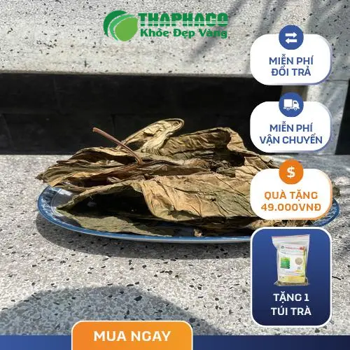 Quy Trình Sản Xuất Lá Khôi Tía THAPHACO