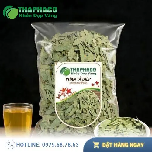 Phan tả diệp khô giá sỉ ưu đãi tại THAPHACO TP.HCM