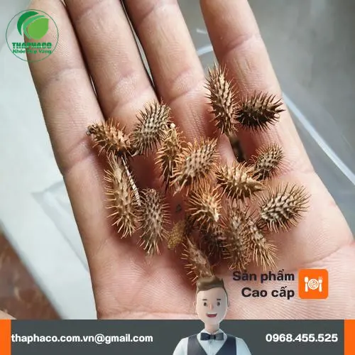Lưu ý khi dùng ké đầu ngựa an toàn