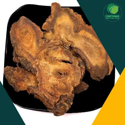 Quy trình sấy khô thảo dược đảm bảo chất lượng THAPHACO