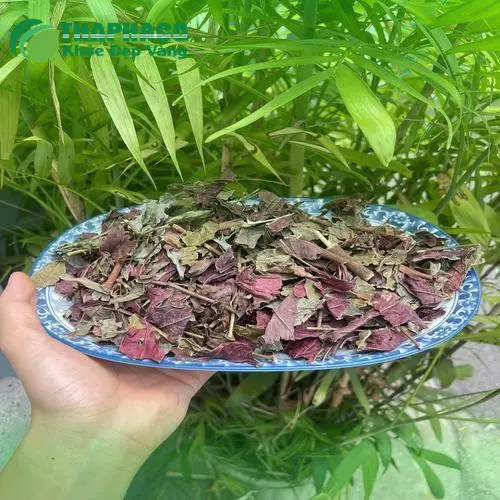 Trà lá đơn đỏ đã pha và sẵn sàng sử dụng