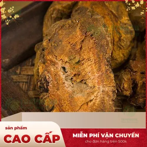 Pha chế trà Đại Hoàng thơm ngon