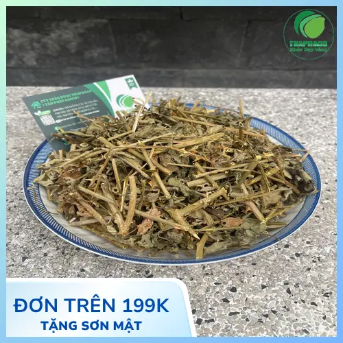 Cà gai leo THAPHACO - Sản phẩm đã được đóng gói chuẩn quy cách, đảm bảo chất lượng
