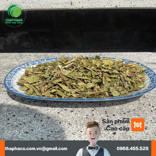 Hoàn ngọc – dược liệu quý giá từ thiên nhiên, được thu hoạch và chế biến chuyên nghiệp