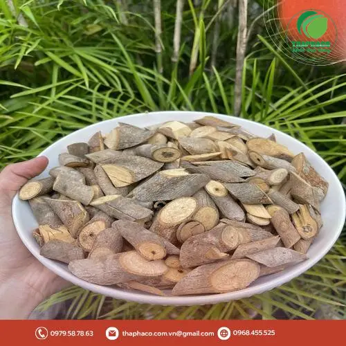 An xoa từ THAPHACO đảm bảo chất lượng và an toàn