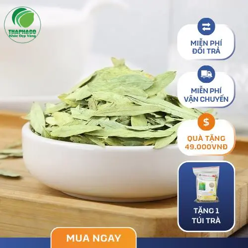 Cách sử dụng phan tả diệp khô an toàn và hiệu quả