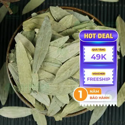 Phan tả diệp THAPHACO chất lượng cao