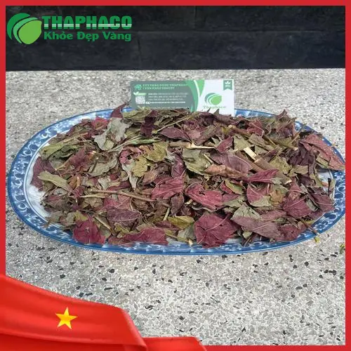 Lá Đơn Đỏ giúp cải thiện viêm da cơ địa rõ rệt