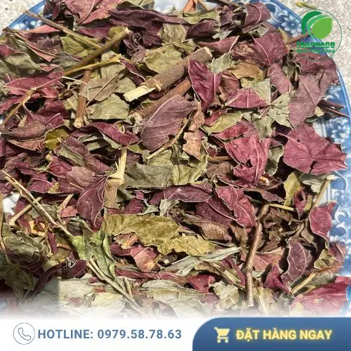 Lá đơn đỏ sấy khô được đóng gói cẩn thận để bảo quản