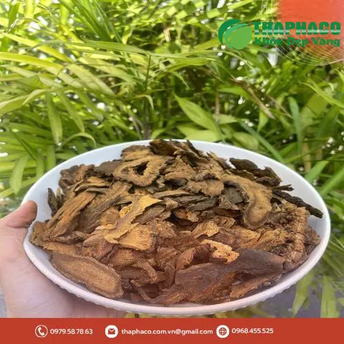 Sản phẩm Đại Hoàng khô chất lượng cao từ THAPHACO