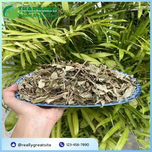 Khổ sâm chất lượng cao của THAPHACO đảm bảo an toàn và hiệu quả
