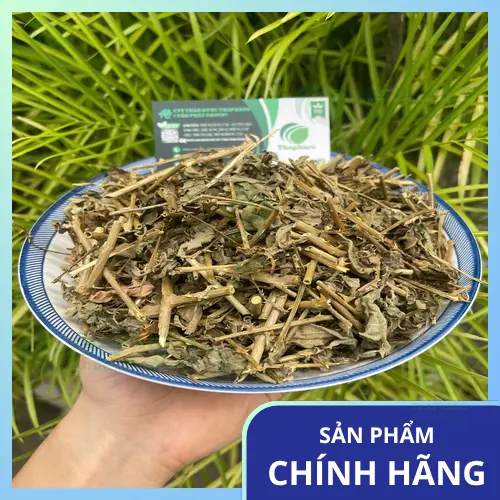Thành phẩm cà gai leo khô đóng gói sẵn sàng đến tay người tiêu dùng