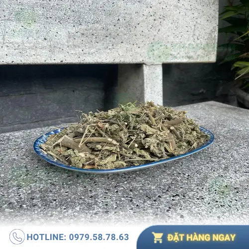 Cây cối xay với thân cây và lá màu xanh mướt, dễ dàng nhận biết trong tự nhiên.