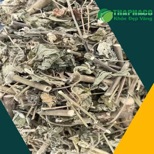 Quy trình đóng gói cây cối xay tại THAPHACO