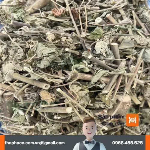 Trà cối xay khô nguyên chất của THAPHACO