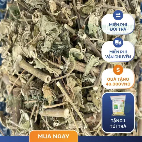 Ưu điểm và công dụng của cây cối xay sấy khô THAPHACO